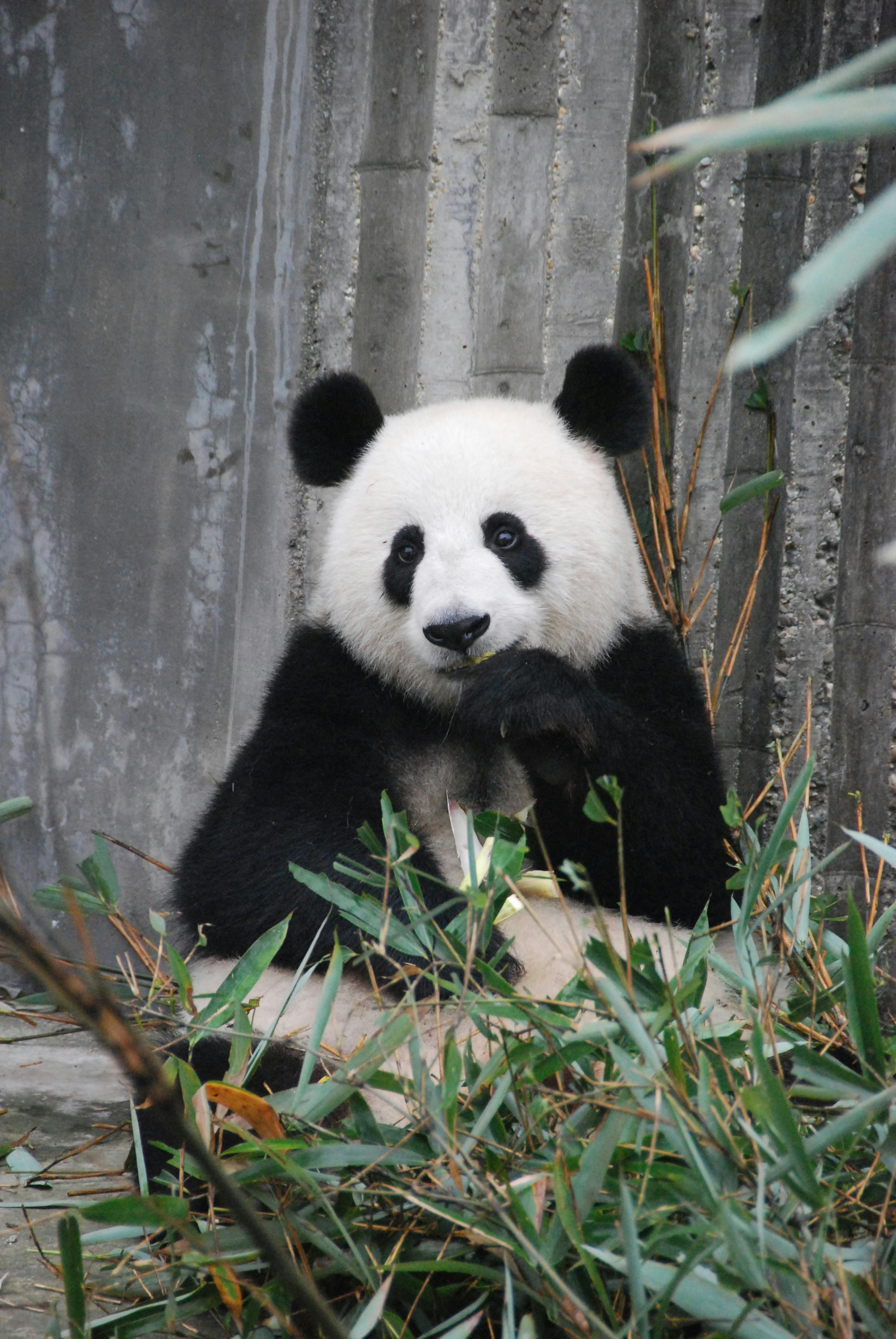 Zoo